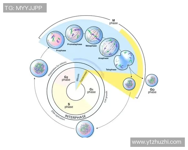 南京网球队耐力对比深度解析揭示训练效果与比赛表现的关系