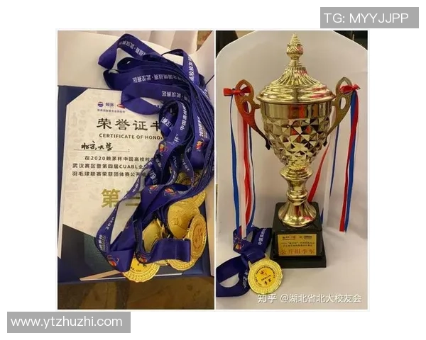 南京羽毛球队的深度解析与控制机制探秘